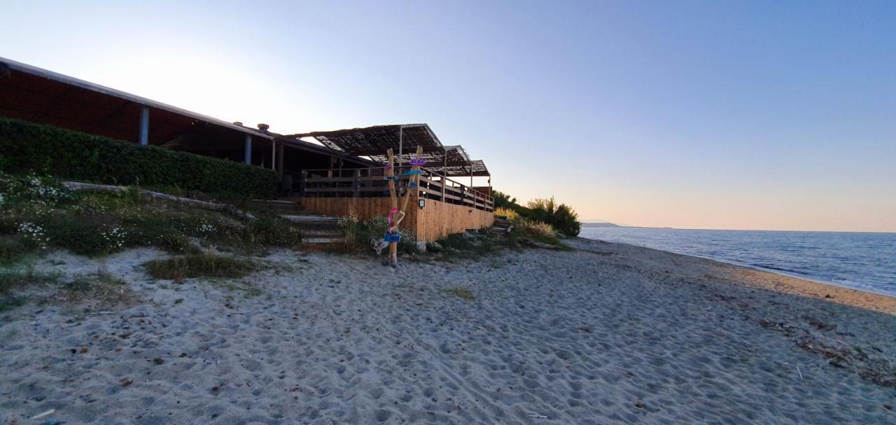 Maison U nidu à 500m de la mer Cervione Esterno foto