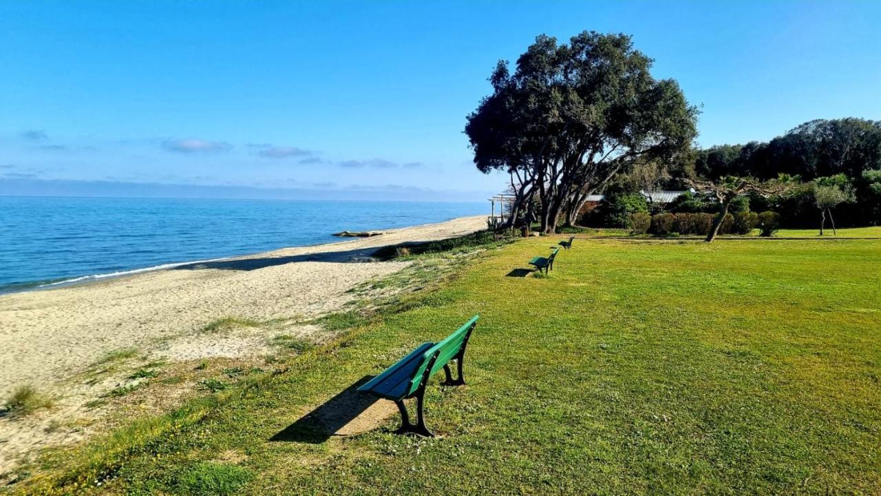 Maison U nidu à 500m de la mer Cervione Esterno foto