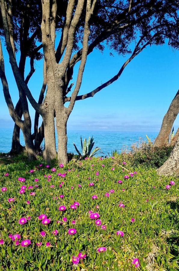 Maison U nidu à 500m de la mer Cervione Esterno foto
